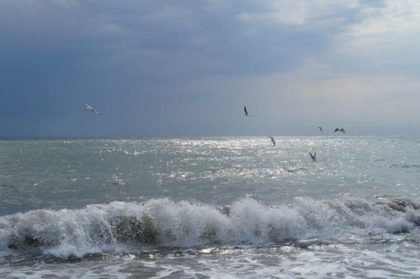 CUTREMUR în Marea Neagră