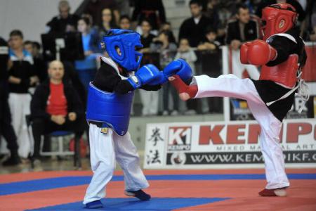 Karate: Bucharest Challenge Cup
