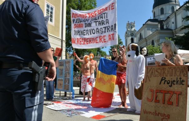 Protest faţă de eutanasierea câinilor în timpul vizitei lui Klaus Iohannis la Salzburg