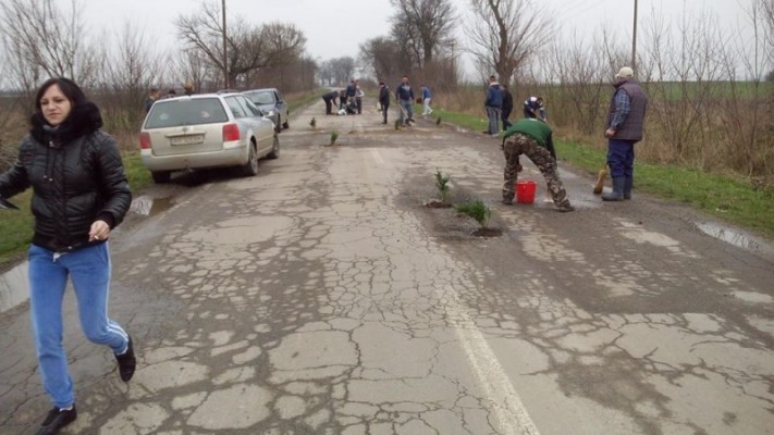 Protest inedit la Arad: copaci plantați în gropile din drum