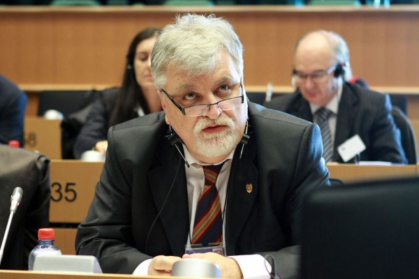 Comisiile parlamentare de politică externă încep luni audierile celor 19 ambasadori propuși