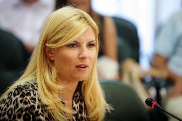 Udrea: Băsescu a fost avertizat, mai direct sau mai voalat, să stea în banca lui şi să nu candideze