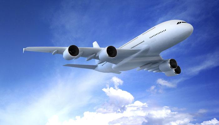 Belgia: Șase pasageri, dați jos din avion după ce au împiedicat expulzarea unui imigrant ilegal camerunez