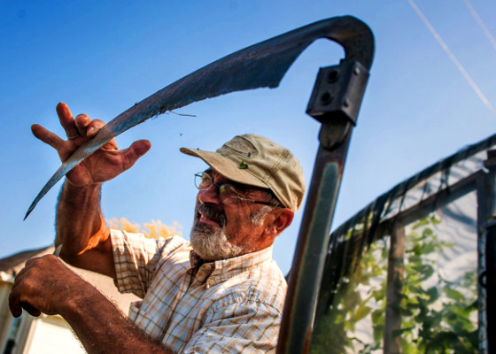 Cine a inventat secera?