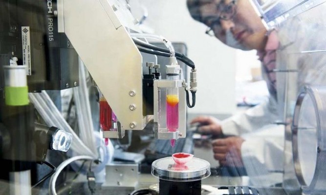 Timiș: Bio-imprimanta care poate imprima țesut uman, premiată de CCIA cu Trofeul de Excelență în Topul Firmelor