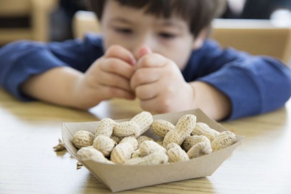 Introducerea alunelor sau arahidelor în alimentația copiilor mici poate preveni alergiile la acestea (studiu)