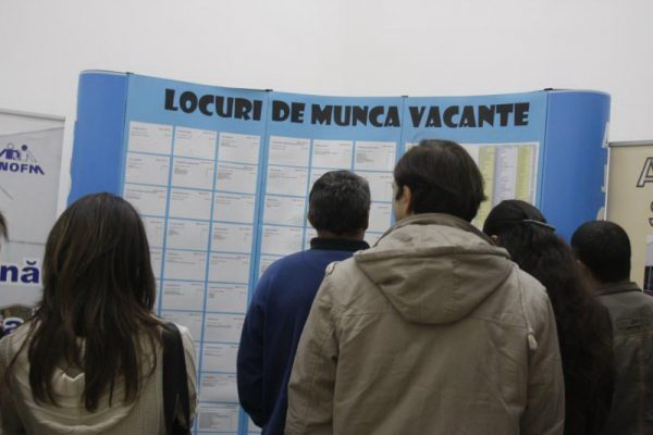ANOFM: Circa 17.500 de locuri de muncă vacante, înregistrate la nivel național