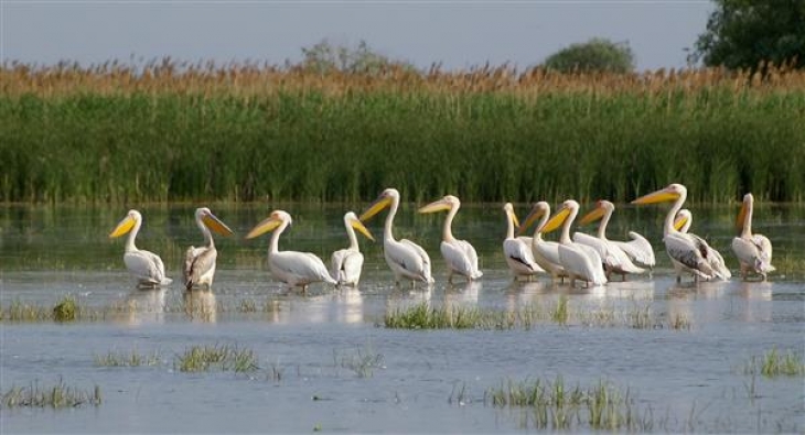 Litoralul și Delta Dunării, promovate la Bruxelles, la Târgul ‘Salon des Vacances’