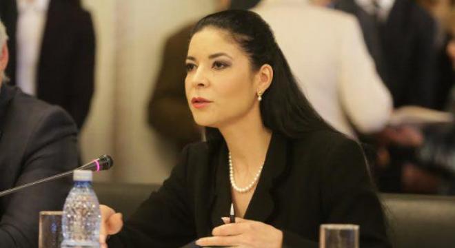 Ana Birchall: Am creat un mecanism de reacție rapidă pe Brexit