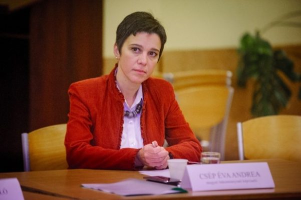 Csép (UDMR): Dorim introducerea ordinului de protecție de urgență; anual, 200 de femei mor în urma agresiunii domestice