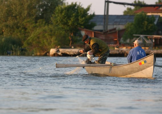 Tulcea: Peste un milion de euro pentru proiecte pescăreşti şi de protejare a mediului din nordul Dobrogei