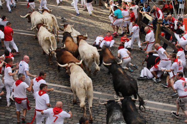 Cursa cu tauri San Fermin: Doi americani şi un spaniol, împunşi de tauri în debutul festivalului San Fermin
