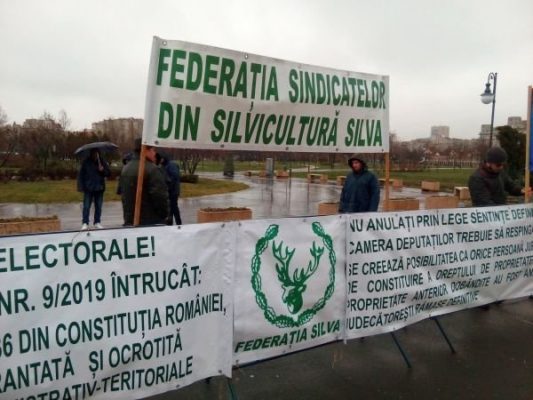 Sindicaliştii din silvicultură ies marţi în stradă pentru a protesta după valul de violenţe împotriva pădurarilor