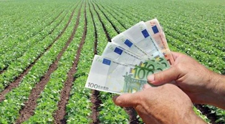 Fonduri europene de aproape 211 milioane de euro pentru investiţii în agricultură şi dezvoltare rurală în 2020