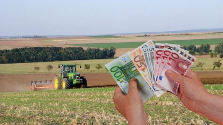 Producătorii agricoli cer Guvernului urgentarea acordării despăgubirilor