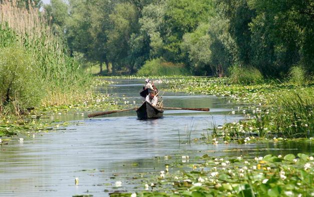 Tulcea: Delta Dunării este plină de turişti, iar majoritatea operatorilor respectă regulile de siguranţă sanitară