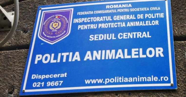 Marcel Vela: S-a înfiinţat Poliţia Animalelor