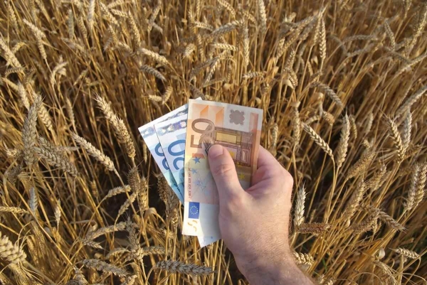 Rectificarea bugetară şi despăgubirile pentru secetă, conferinţă susţinută miercuri de ministrul Agriculturii