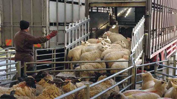 Seminar despre reglementările şi procedurile post-Brexit privind exportul/importul de animale vii, produse de origine animală şi non-animală
