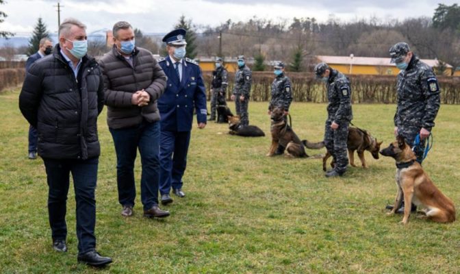 Bode: Câinii antrenaţi la Sibiu ar putea depista persoanele infectate cu SARS-CoV-2 la Aeroportul Sibiu