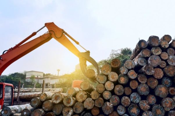 Industriile din România bazate pe lemn contribuie cu peste 6 miliarde de euro la PIB (asociaţie)
