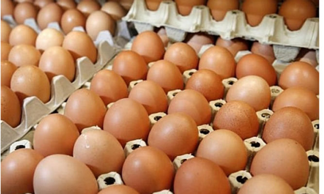 Industria avicolă iese pe piaţă cu 290 de milioane de ouă în această lună; vânzările cresc cu 50% în perioada Paştelui