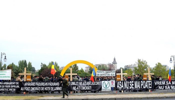 Sindicaliştii din silvicultură pichetează Ministerul Mediului, Apelor şi Pădurilor