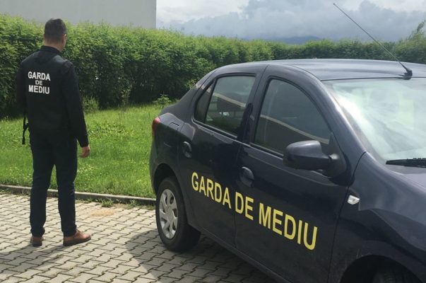 Primăria Constanţa, amendată de Garda de Mediu pentru că spaţiile verzi sunt insuficiente