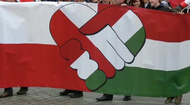 Ungaria şi Polonia devin tot mai autoritare, susţine o organizaţie civică europeană