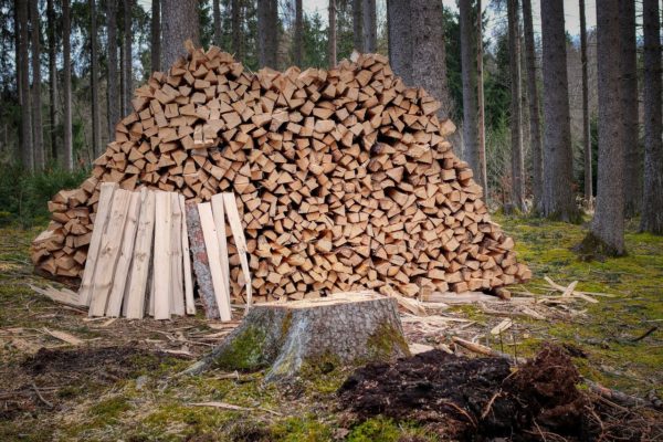 ASFOR şi BRM anunţă prima tranzacţie de lemn realizată prin sistem bursier, în România