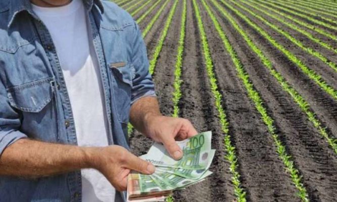 VIDEO Ministrul Agriculturii: Programul Rural Invest oferă fermierilor români un plafon de garanţii de 2,5 miliarde de euro