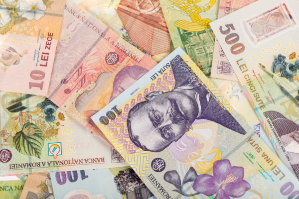 Senatul a reglementat activitatea lucrătorilor casnici în beneficiul altor persoane; un tichet valoric – 15 lei
