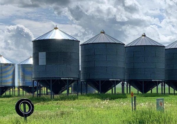 Occidentalii vor să construiască silozuri pentru a ajuta Ucraina să exporte cerealele (Biden)