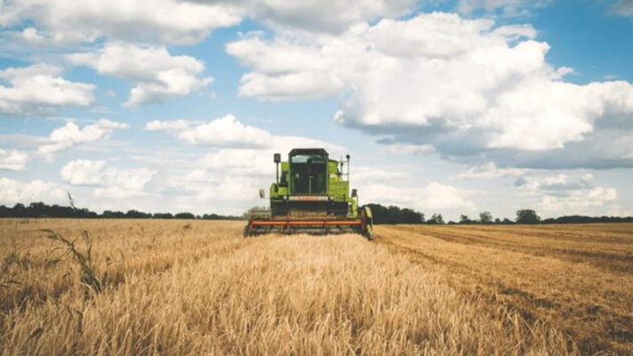 Suprafaţa cultivată în România a crescut la 8,263 milioane hectare în 2021; judeţele Dolj, Constanţa şi Galaţi, pe primele locuri