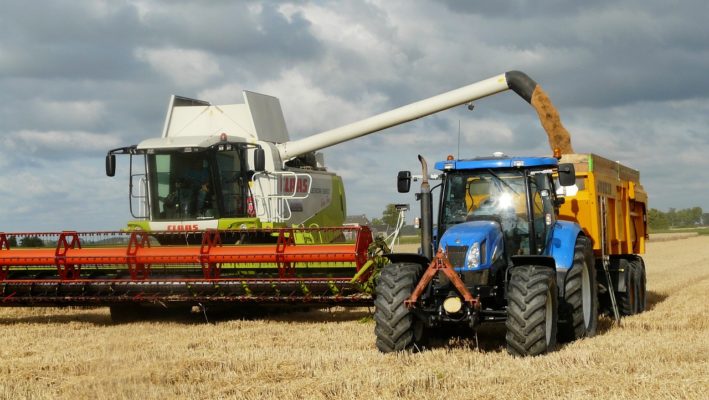 Eurostat: Franţa, Germania, Polonia, Spania şi România, cei mai mari producători de cereale din UE