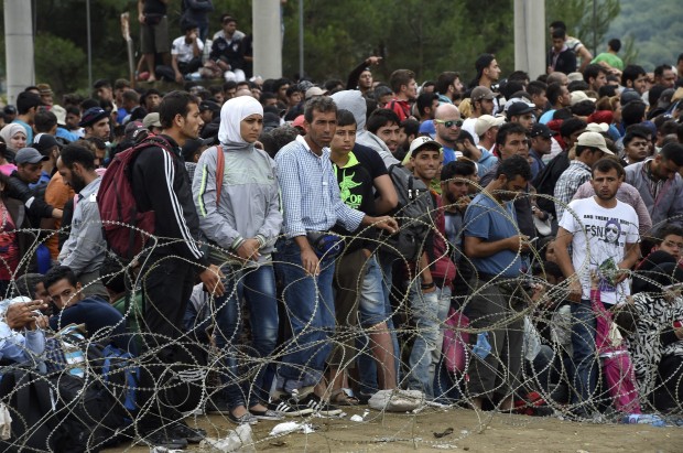 Criza migranților: Facebook, Google, Twitter vor șterge în 24 de ore mesajele în germană care incită la ură
