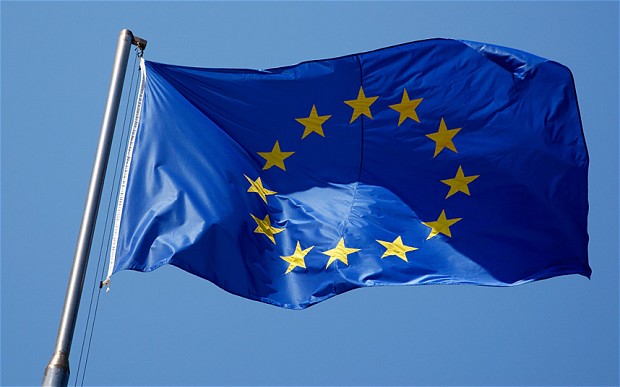 Aproape jumătate dintre participanții la un sondaj în opt state europene doresc un referendum pe tema rămânerii în UE
