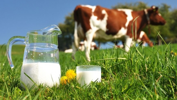 Producătorii de lapte pot depune cereri pentru obținerea ajutorului financiar european, în perioada 30 mai – 6 iunie