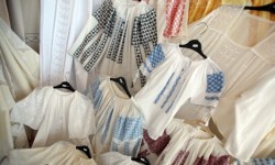 Documentar Ziua Universală a Iei