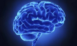 Tehnica de de scanare a creierului ce vede durerea, la propriu