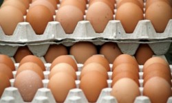 DSV Covasna: Jumătate din cantitatea de ouă cu salmonella a fost comercializată