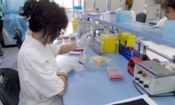 ANSVSA: Inspectorii veterinari au descoperit E-Coli în carne de mici, cașcaval și carcasă de ovine