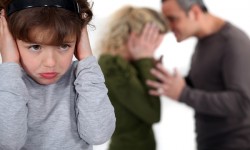 Pîslaru: Tema violenței în familie nu are legătură cu demnitatea publică; ea trebuie continuată indiferent de leadershipul politic