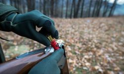 Bihor: Primii oaspeți ai lui Țiriac la vânătoarea de mistreți de la Balc au sosit la Oradea