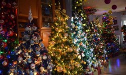 VIDEO Un cuplu german și-a decorat casa cu peste 100 de brazi de Crăciun