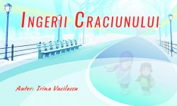 Ingerii Craciunului, de Irina Vasilescu