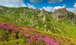 Pe 20 martie are loc echinocțiul de primăvară