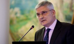 Dăianu: Aderarea la euro are nevoie de reforme serioase; este importantă mobilizarea resurselor interne