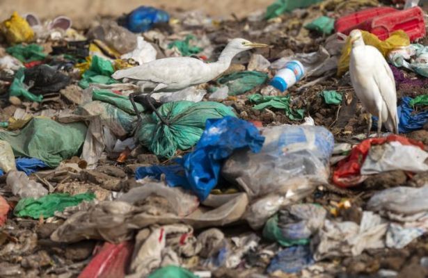 Roma a aprobat un proiect de lege pentru reducerea deşeurilor marine din plastic