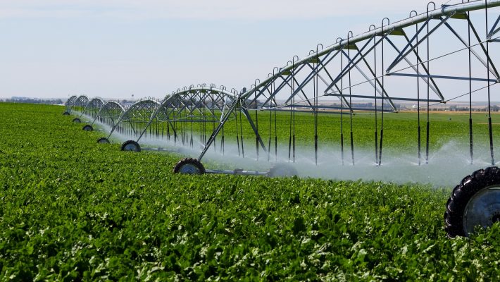 Daea: Intrăm într-o altă etapă, din 2021, de mărire a suprafeţelor care vor putea fi irigate, până la un milion de hectare